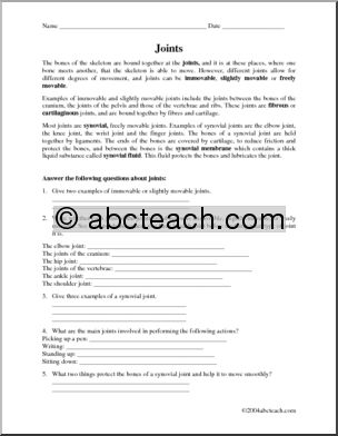 Comprehension: Human Joints (upper elem/ middle)