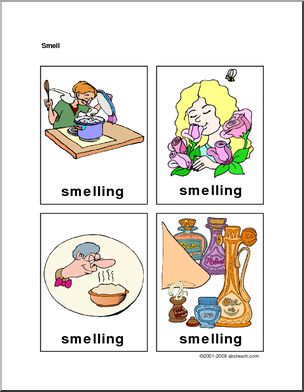 Flashcards: Senses – Smell