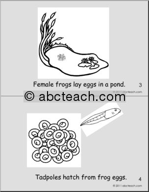 Early Reader: Growing Frogs Booklet (b/w) (pre-k/primary)