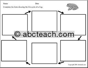 Science Form: Life Cycle of a Frog