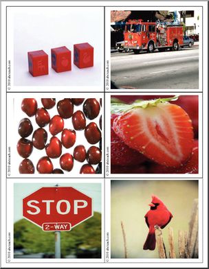 Photo card: Primary Colors: Red_Blue_Yellow (color)