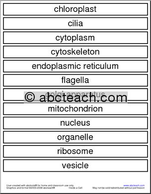 Word Wall: Inside a Cell