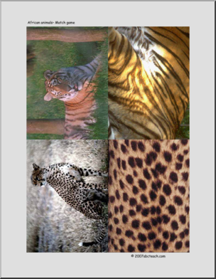 Matching: African Animals (multi-age)