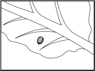 Clip Art: Butterfly: Monarch Egg B&W