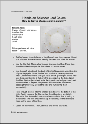 Experiment: Plants – Changing Color (elem/upper elem)